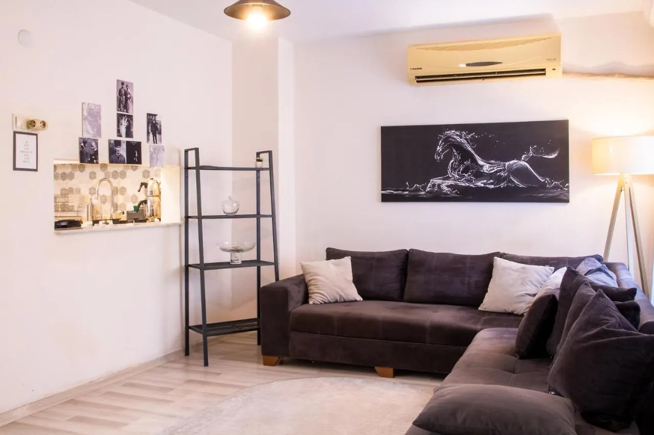 Chic And Convenient Flat In Izmir Apartment