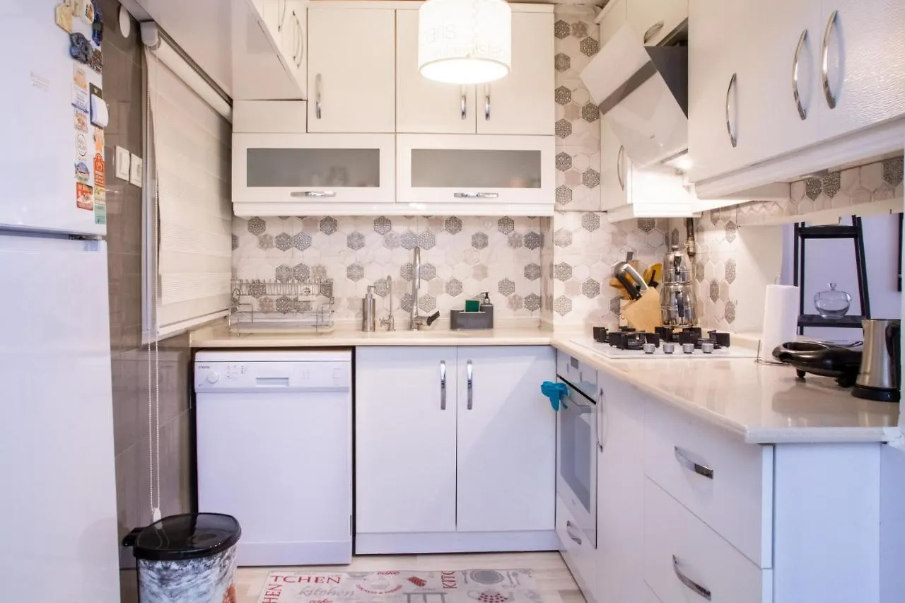 Chic And Convenient Flat In Izmir Apartment